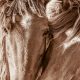 Lisa Cueman's Butterfly Kisses, Sepia Fine Art Horse Photography
