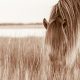 Lisa Cueman's Island Grazer, Sepia Fine Art Horse Photography